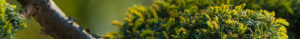 Background image 07