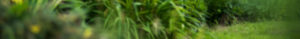 Background image 09
